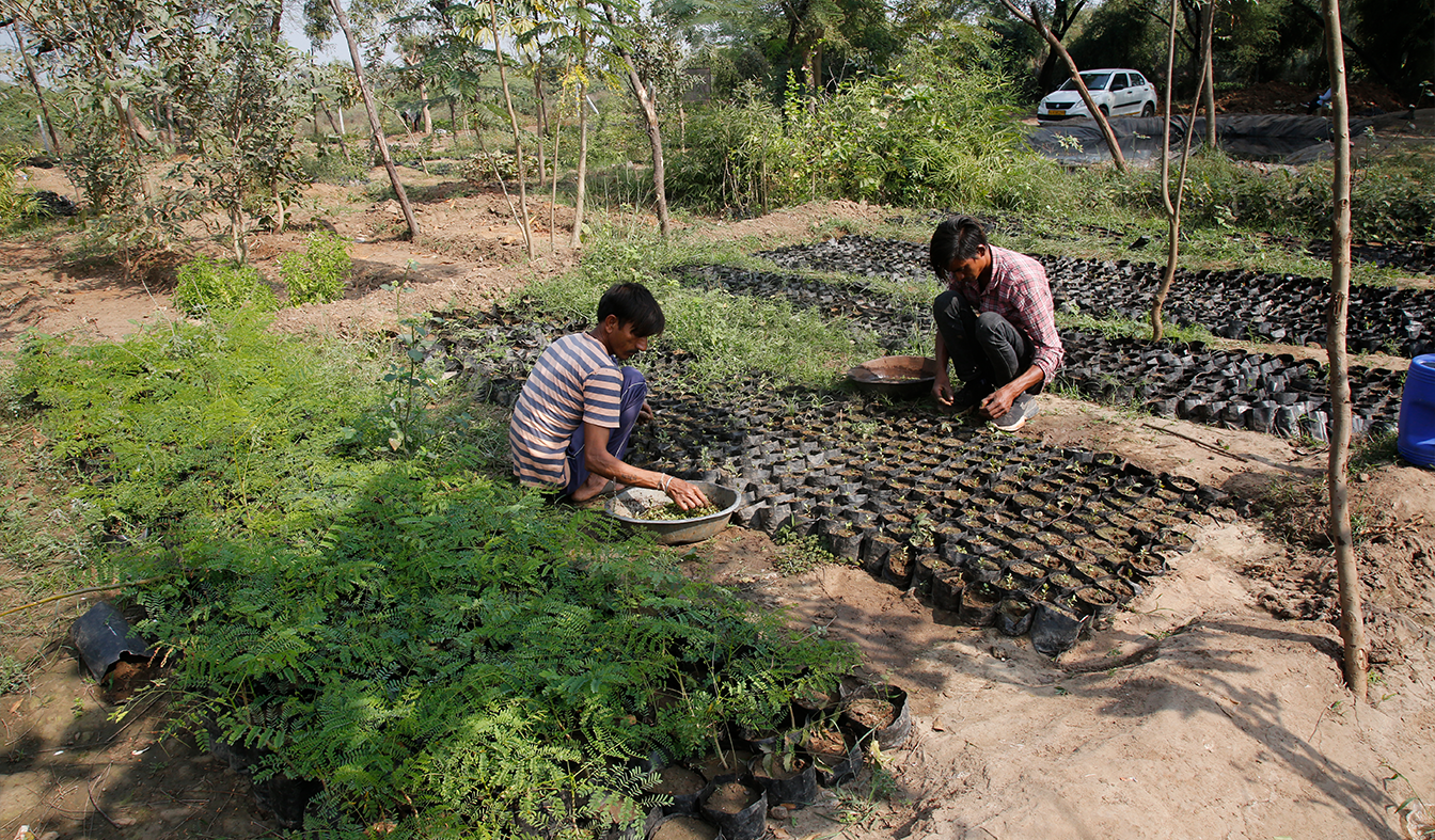 Person walking in nature